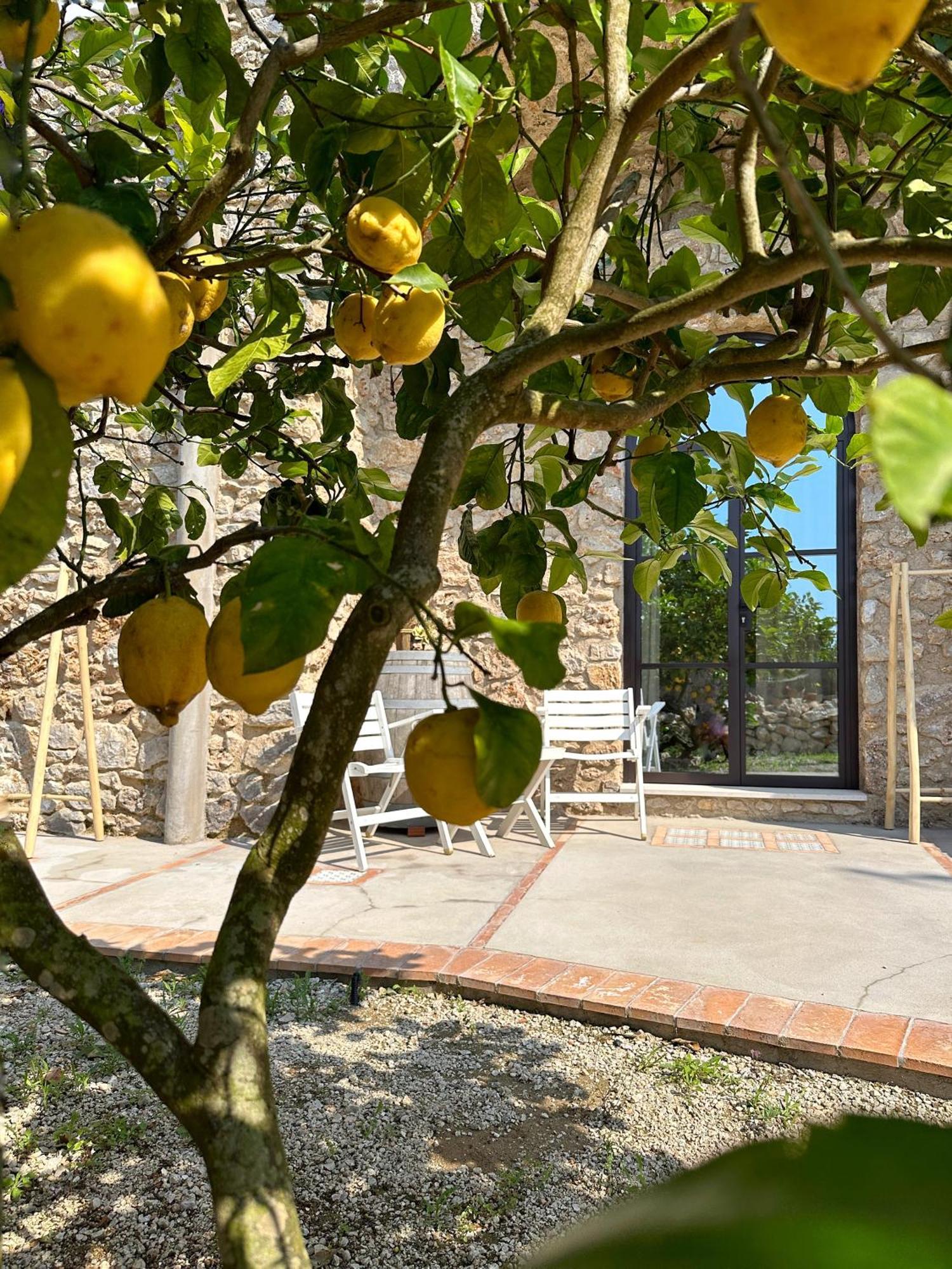 Dimora Storica Pasquale Guest house